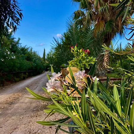 Seredipa A Scopello Tp Homestay *